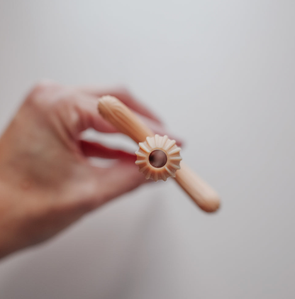 Kaktus Beißring - Rosa