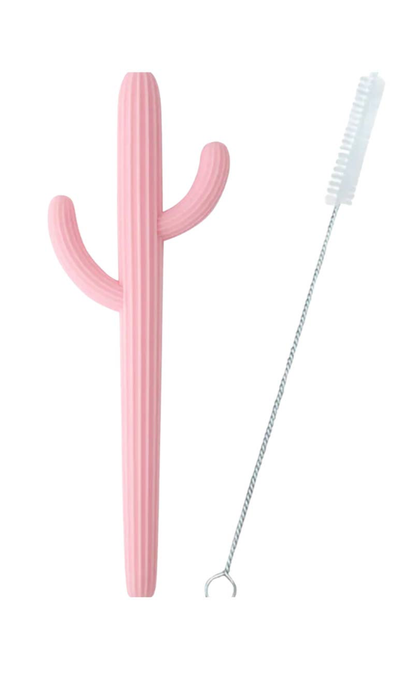 Kaktus Beißring - Rosa