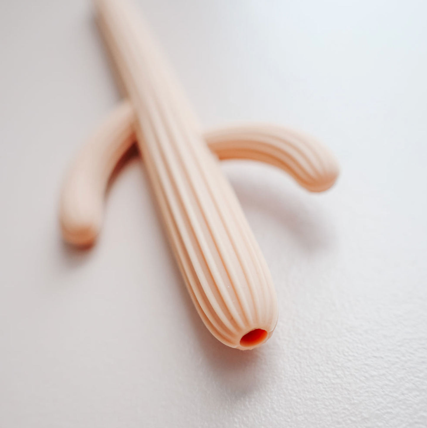 Kaktus Beißring - Rosa