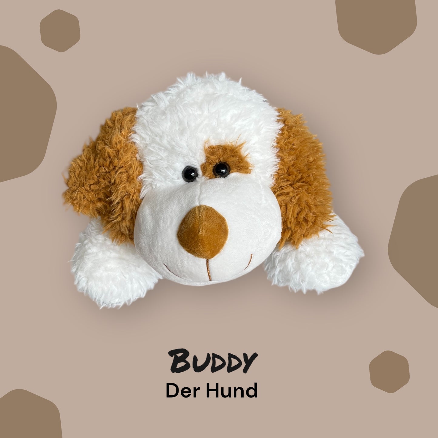 Buddy der Hund
