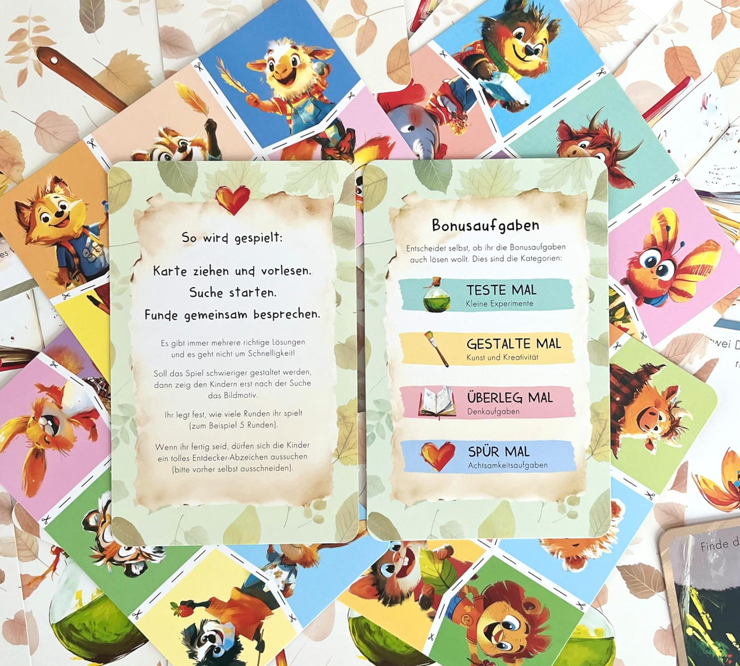 Entdeckerkarten - Natur